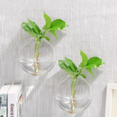 Vaso De Vidro Parede Pendurado Tanques De Peixes Hydroponic Hidropônicos Plantas Penduradas Flores