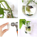 Vaso De Vidro Parede Pendurado Tanques De Peixes Hydroponic Hidropônicos Plantas Penduradas Flores