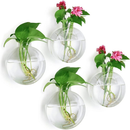Vaso De Vidro Parede Pendurado Tanques De Peixes Hydroponic Hidropônicos Plantas Penduradas Flores