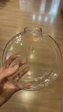 Vaso Suspenso Glass Nature – Vaso de Vidro para Parede Hidropônico